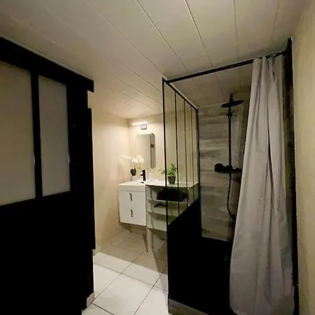 Appartamento Le Loft Champenois