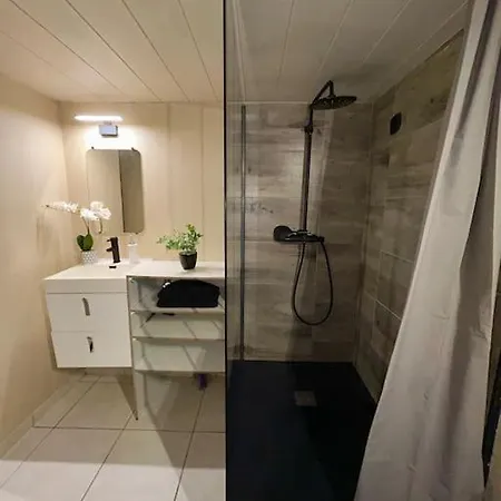 Appartamento Le Loft Champenois *